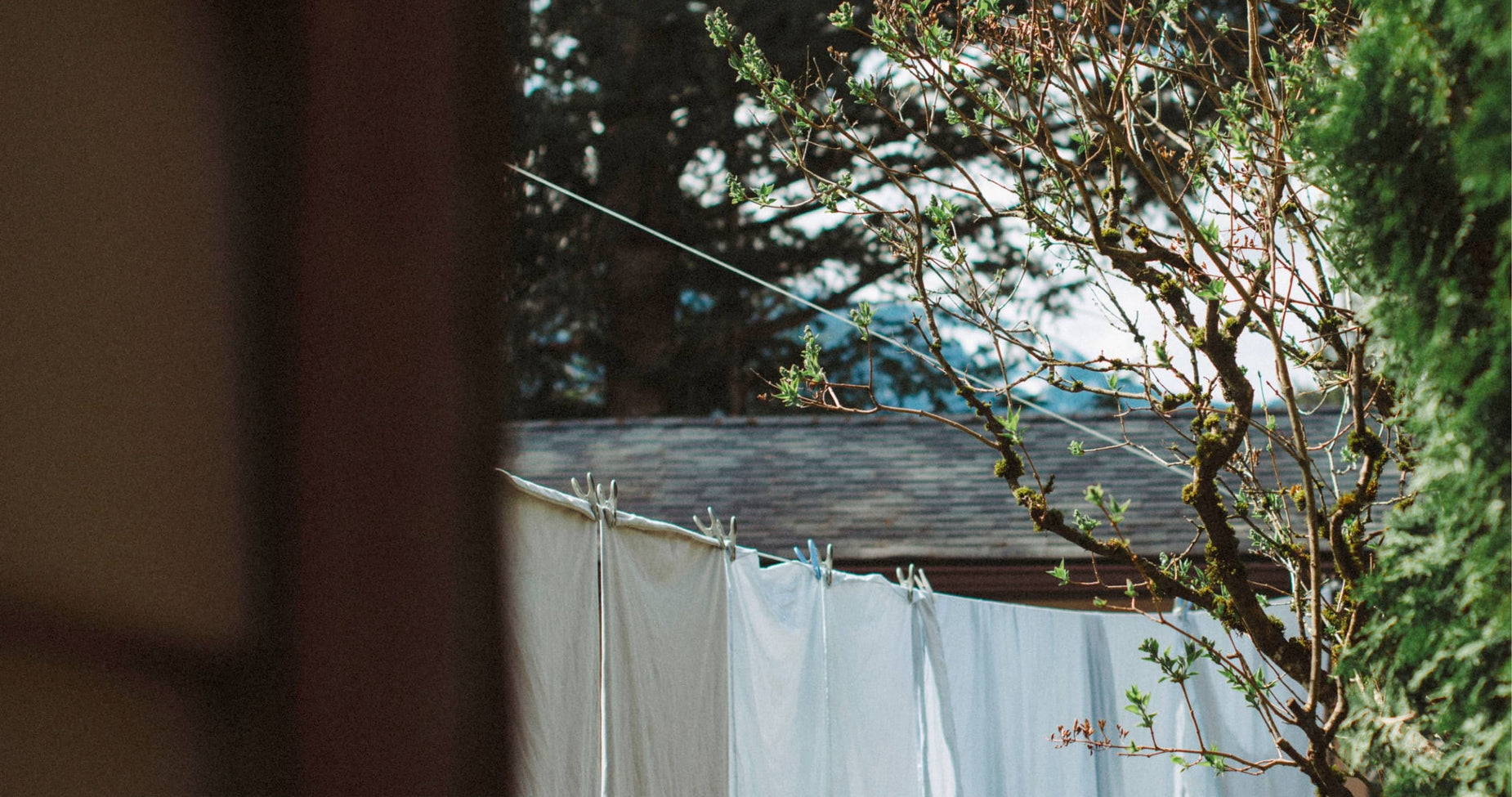 Mella 1809 | Making Homecare A Work Of Art
