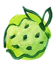 Green fruit