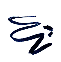 Black squiggle