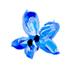 Blue flower